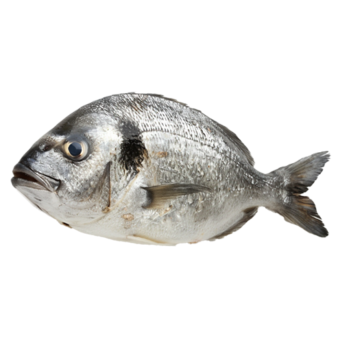 Dein Rezept mit ganze Dorade